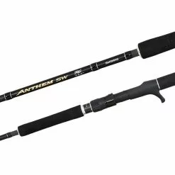 SHIMANO ANTHEM SW 662 HEAVY OVERHEAD ROD